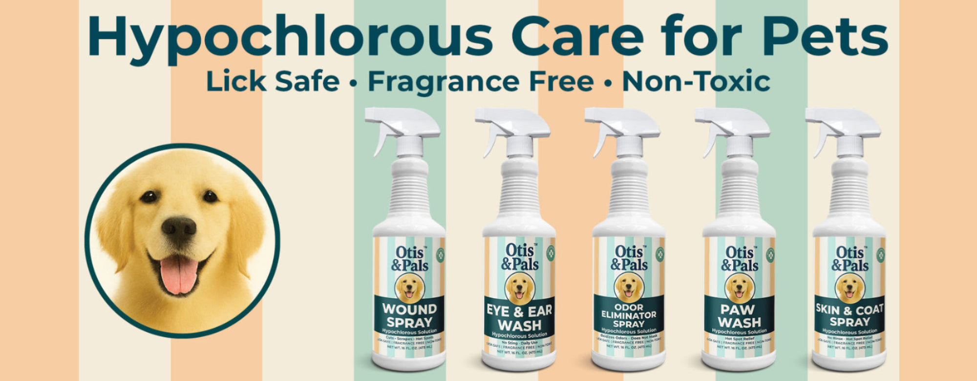 Collection of pet care products with a dog illustration and product names on a colorful background.